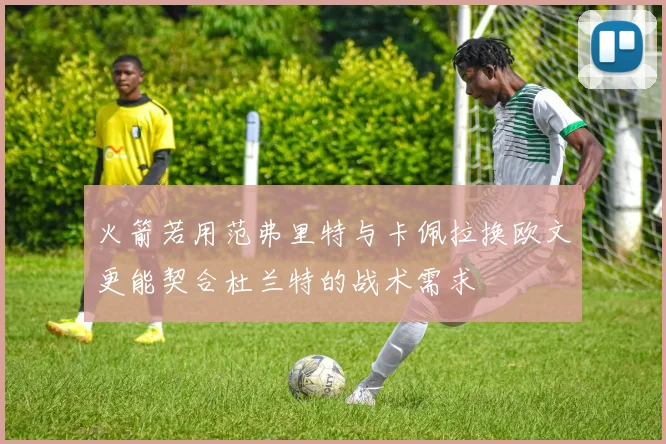 火箭若用范弗里特与卡佩拉换欧文更能契合杜兰特的战术需求